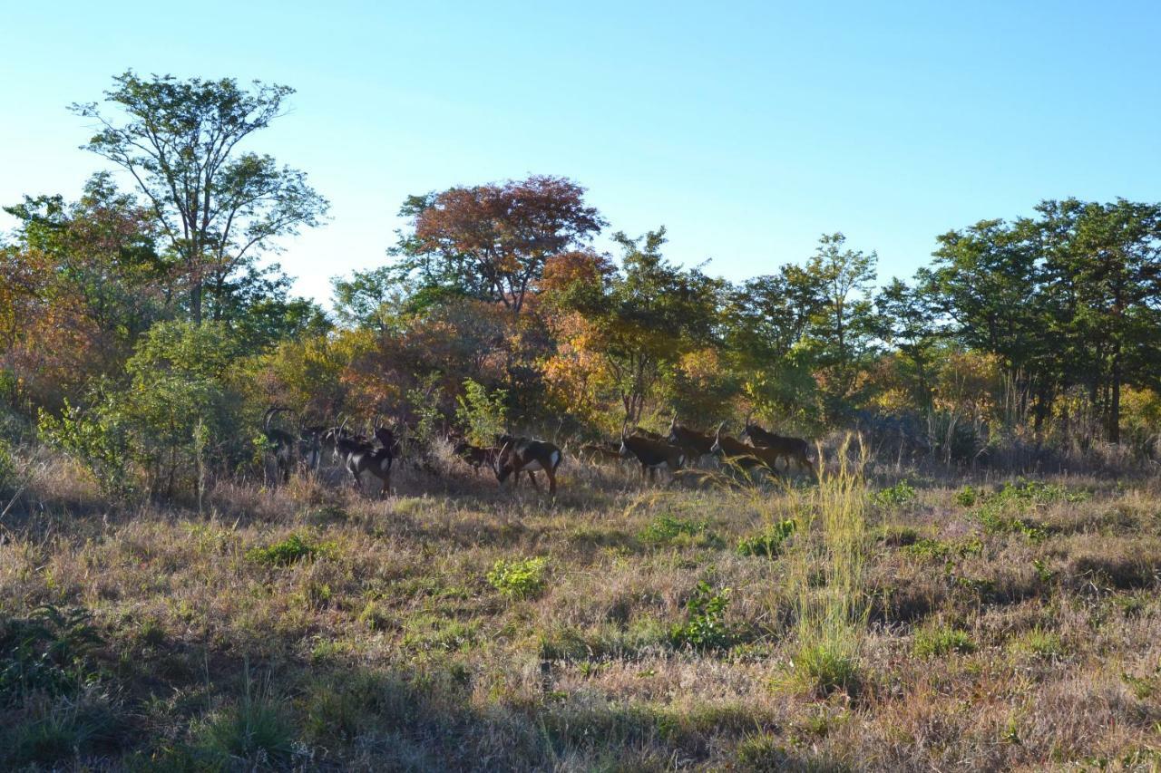 Chobe Sunset Chalets Lesoma 외부 사진